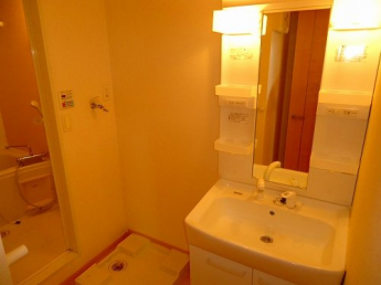 スペースが確保できる洗面所です