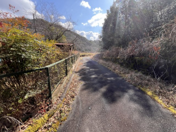 【前面道路含む現地写真】