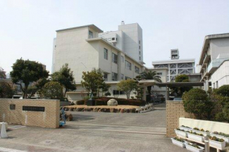 松山市立 番町小学校まで693m