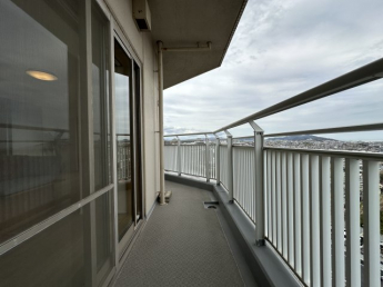 ティオ舞子の画像