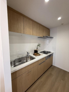 食洗器、浄水器付き
