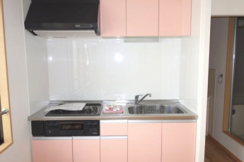 ビルトインガスコンロ付きのシステムキッチン