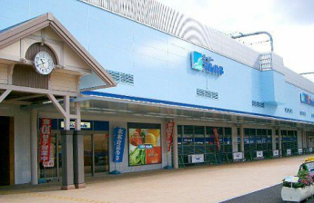 スーパーマルハチ加古川店まで777m