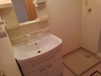 忙しい朝には欠かせない洗面所です