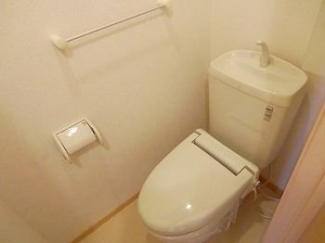 落ち着いた色調のトイレです