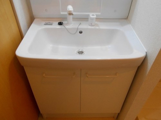 忙しい朝には欠かせない洗面所です