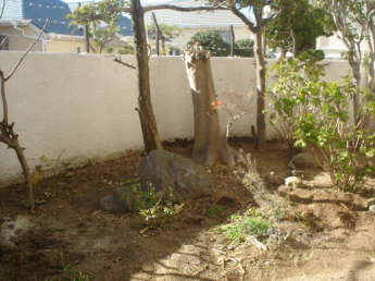 ストークライフ甲陽園の画像