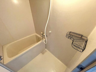 グレイス・アムールの画像