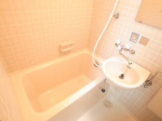 グレイスモトヤマの画像