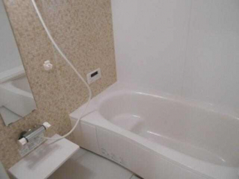 Ｄ－ｒｏｏｍシュシュの画像