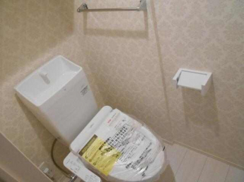 Ｄ－ｒｏｏｍシュシュの画像