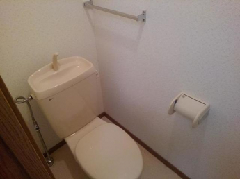 落ち着いた色調のトイレです