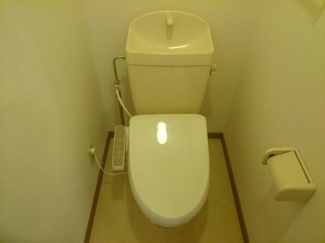落ち着いた色調のトイレです