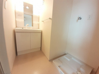 スペースが確保できる洗面所です