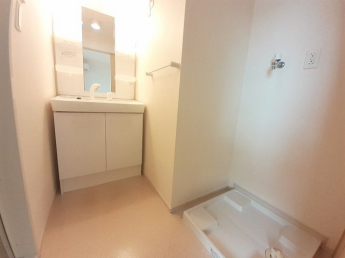 スペースが確保できる洗面所です