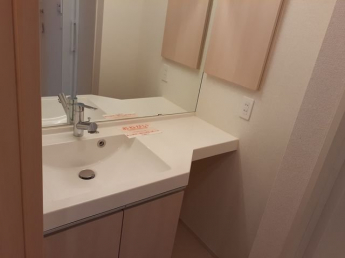 忙しい朝には欠かせない洗面所です