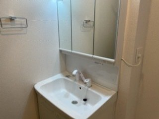 スペースが確保できる洗面所です