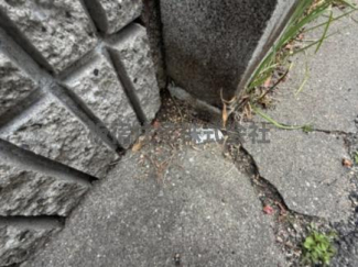 長田区野田町9丁目_売土地の画像