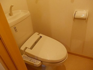 落ち着いた色調のトイレです