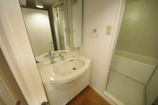 ゆったりとスペースのある洗面所