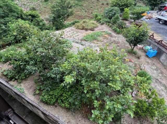 久万ノ台借家の画像