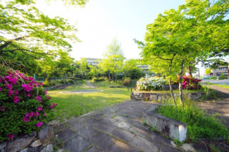 道路を挟んで目の前には公園