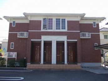 外観も気になるポイント