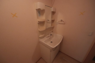 スペースが確保できる洗面所です