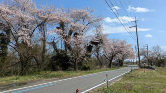 高島市今津町深清水の売地の画像