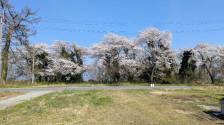 敷地内からの眺望