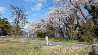 敷地内からの眺望