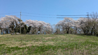 敷地奥側より撮影。