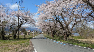 白線内が該当物件となります。