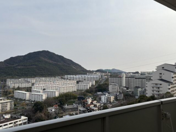 和室の畳は交換予定