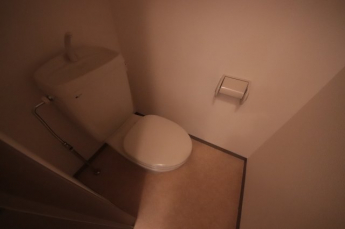 ゆったりとした空間のトイレです