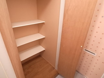 シューズボックス　収納としても使用可