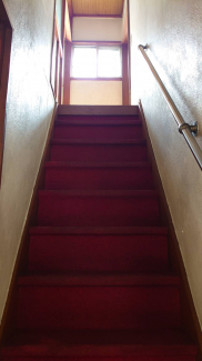 階段はカーペットなので滑って転びにくいです