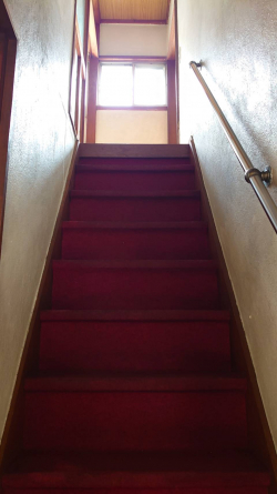 階段はカーペットなので滑って転びにくいです