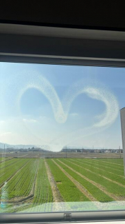 長浜市大路町中古一戸建ての画像