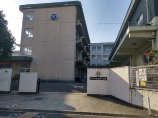 松山市立宮前小学校まで510m
