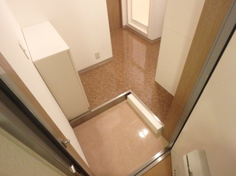 落ち着いた玄関です