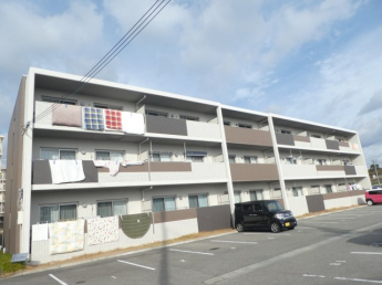 カーサフェリース