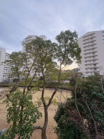 簡単な家庭菜園も楽しめるお庭です