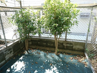 簡単な家庭菜園も楽しめるお専用庭です