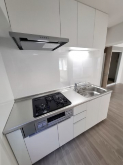 2026年4月撮影　新品