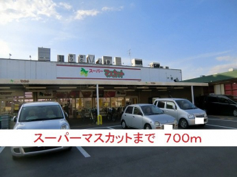 スーパーマスカットまで700m