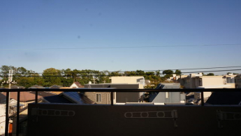 緑色は武庫川土手沿いの木々です。