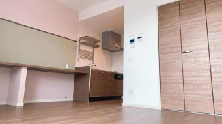 ｑｕｉｎｚｅ　ｌｉｅｕの画像