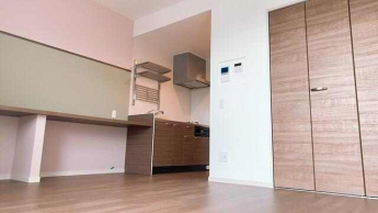 ｑｕｉｎｚｅ　ｌｉｅｕの画像