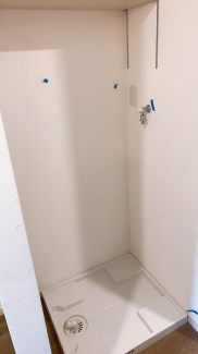 ｑｕｉｎｚｅ　ｌｉｅｕの画像